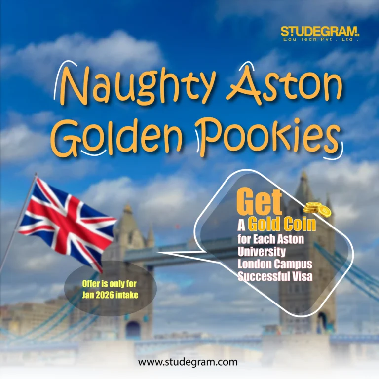 best freelance digital marketer in malappuram