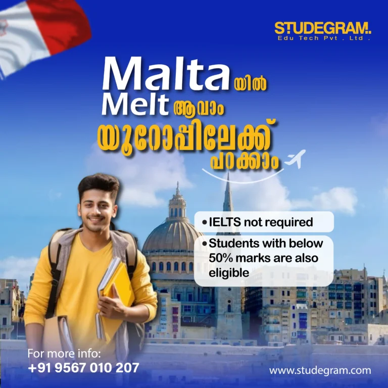 best freelance digital marketer in malappuram